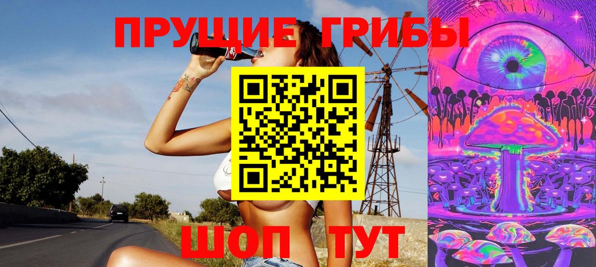 Тосно  Псилоцибиновые грибы ЛСД  Вход с VPN 