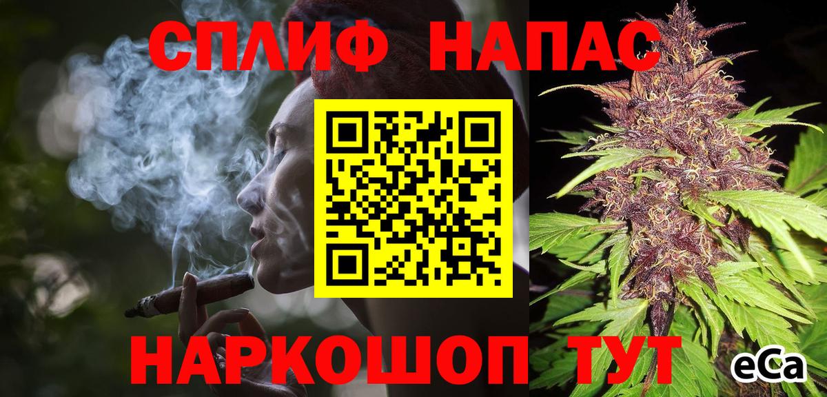 Тосно  Бошки Шишки семена  Каннабис THC 21%  Марихуана Ganja  Вход с VPN 